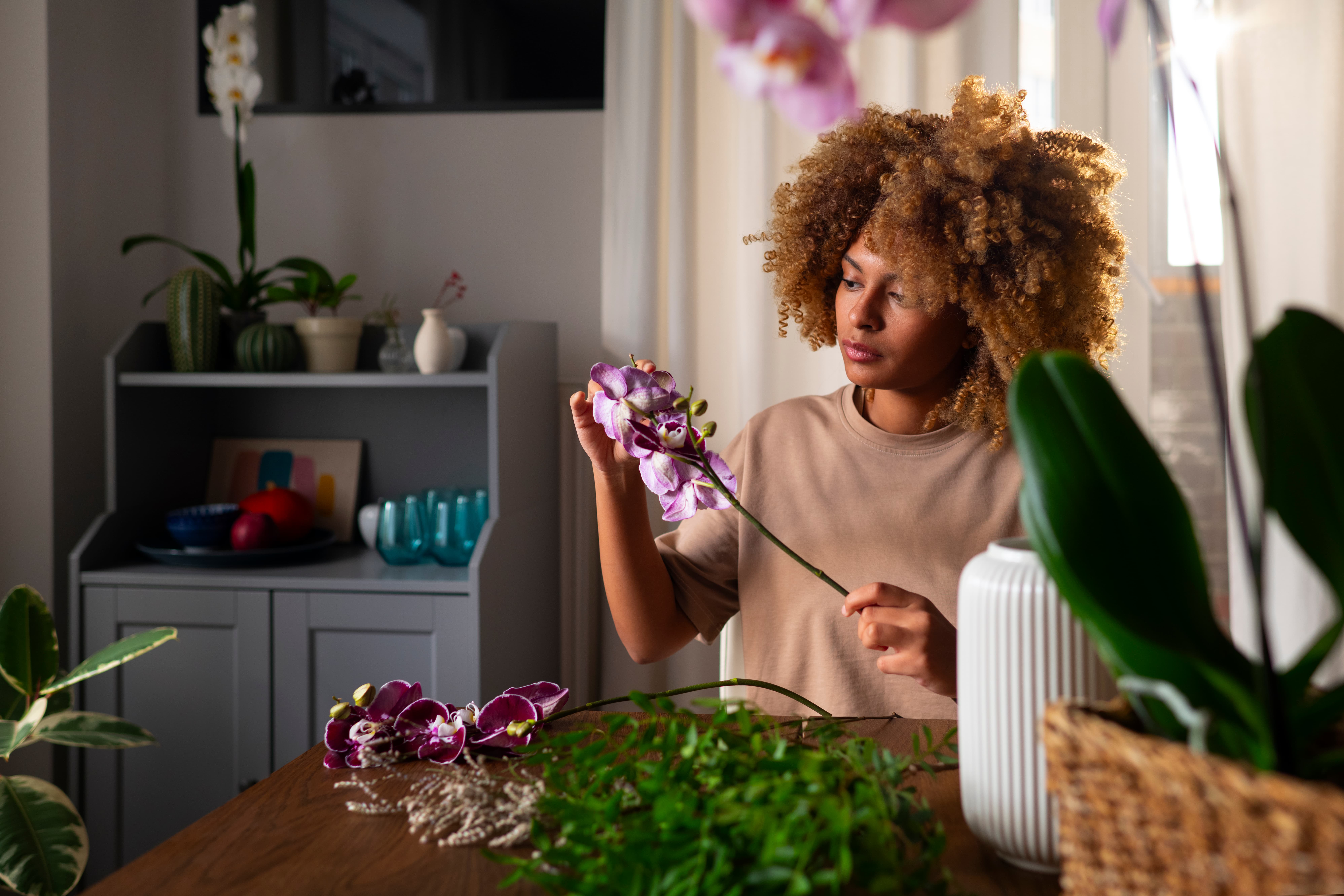 Informational Website for Sustainable Home Brand
